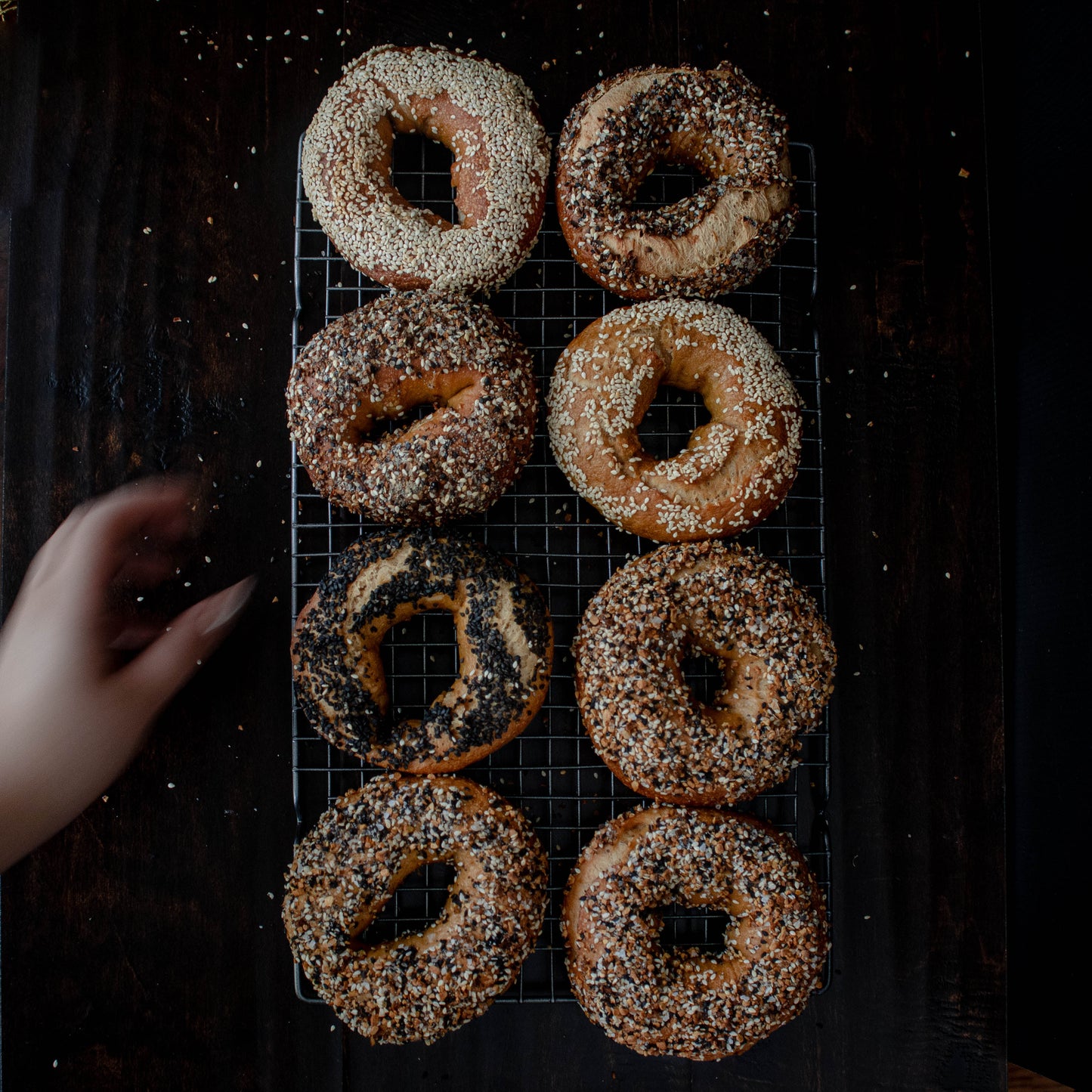 ny bagels
